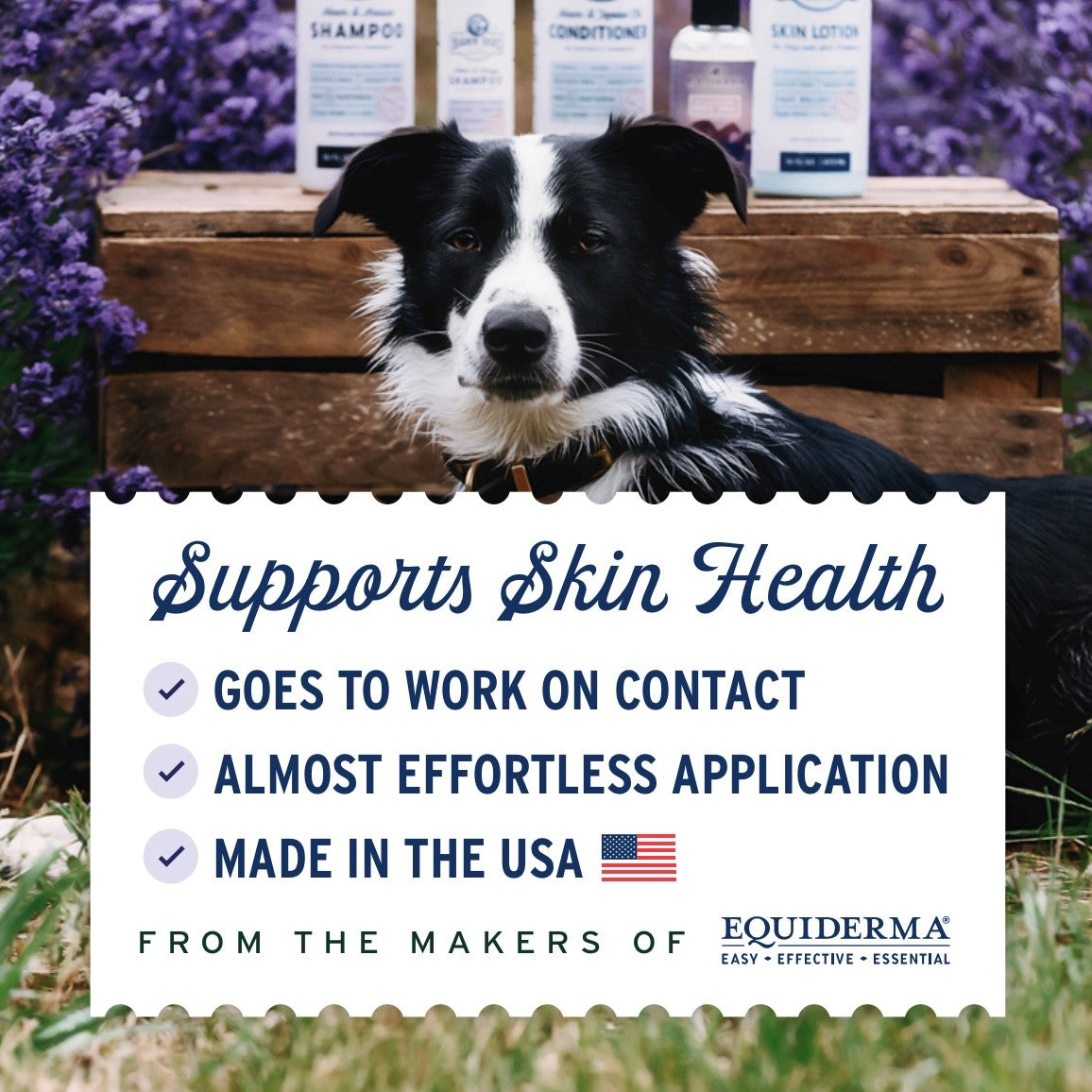 Barn Dog Skin Lotion