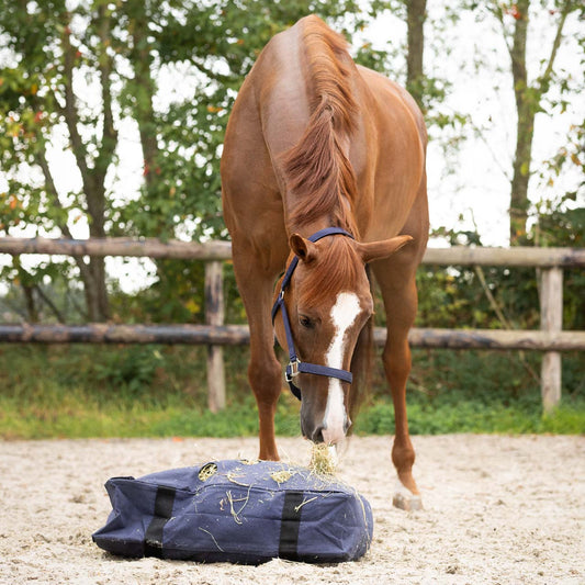 Hay Pillow