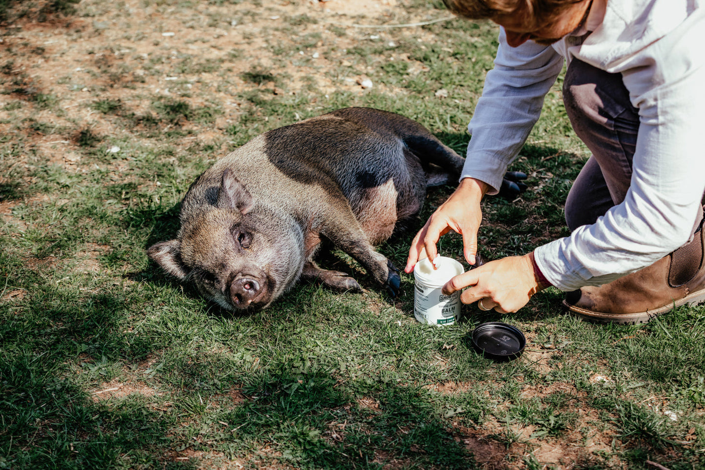Show Off Udderly Amazing Balm