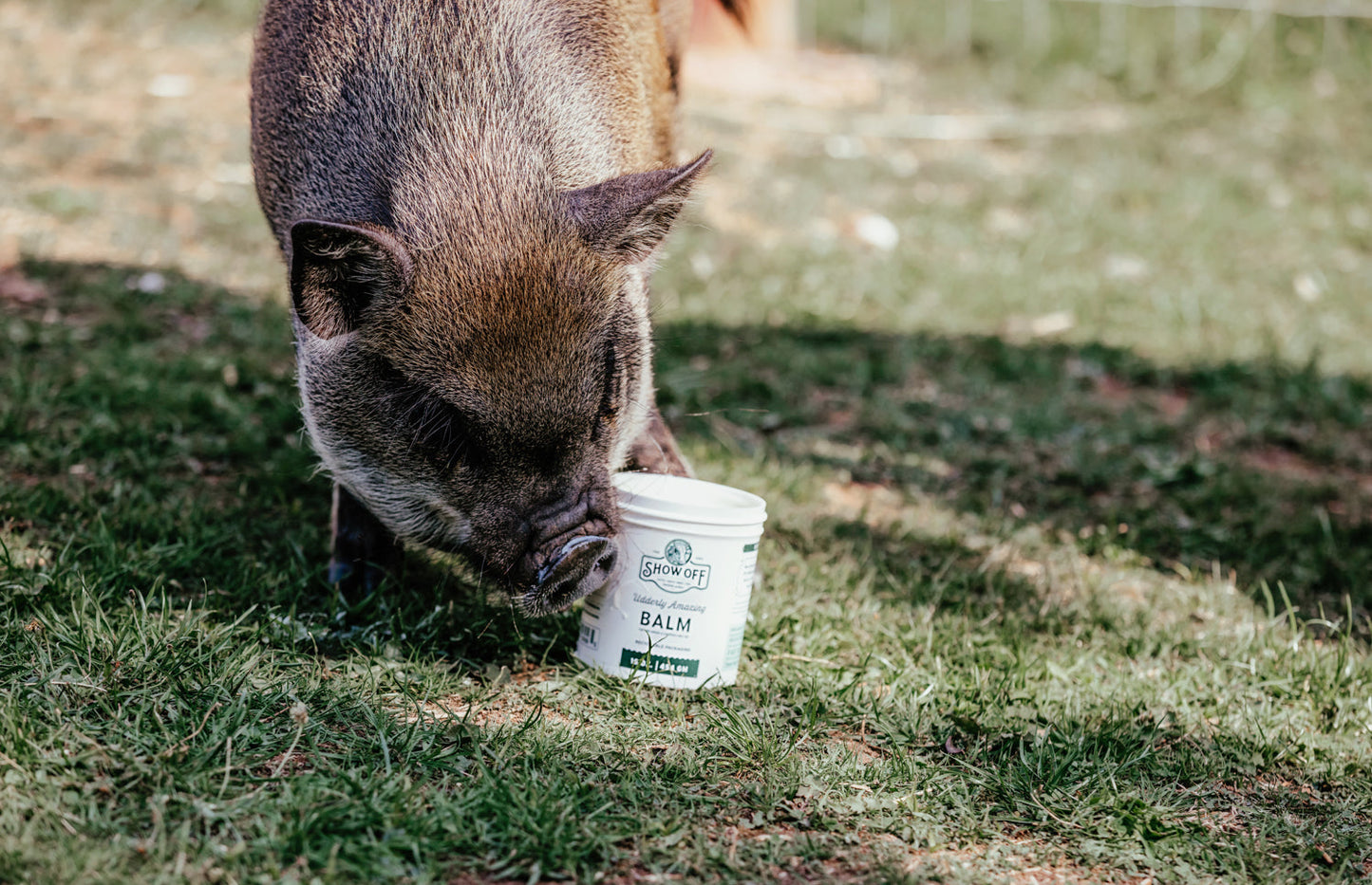 Show Off Udderly Amazing Balm