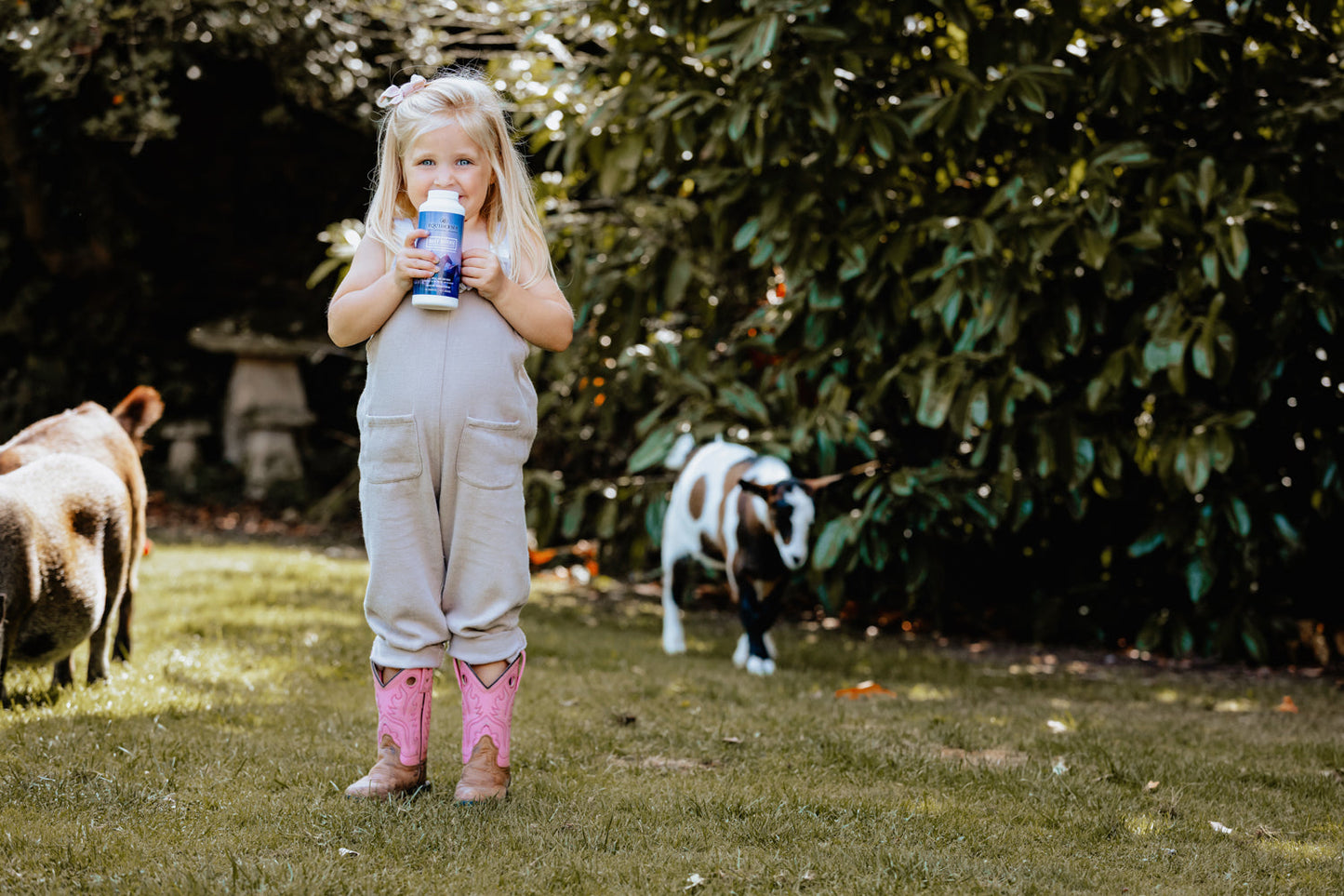 Daily Defense Dry Shampoo