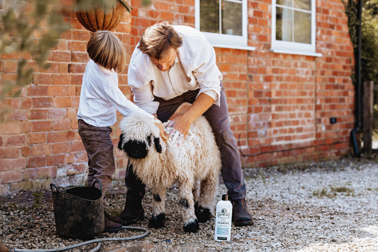 Show Off That Shine Shampoo