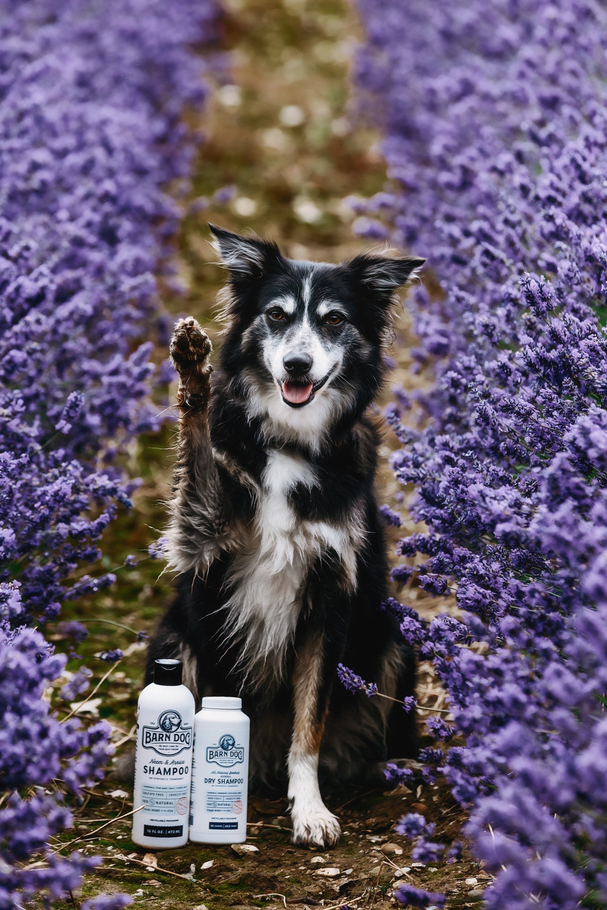 Barn Dog Dry Shampoo