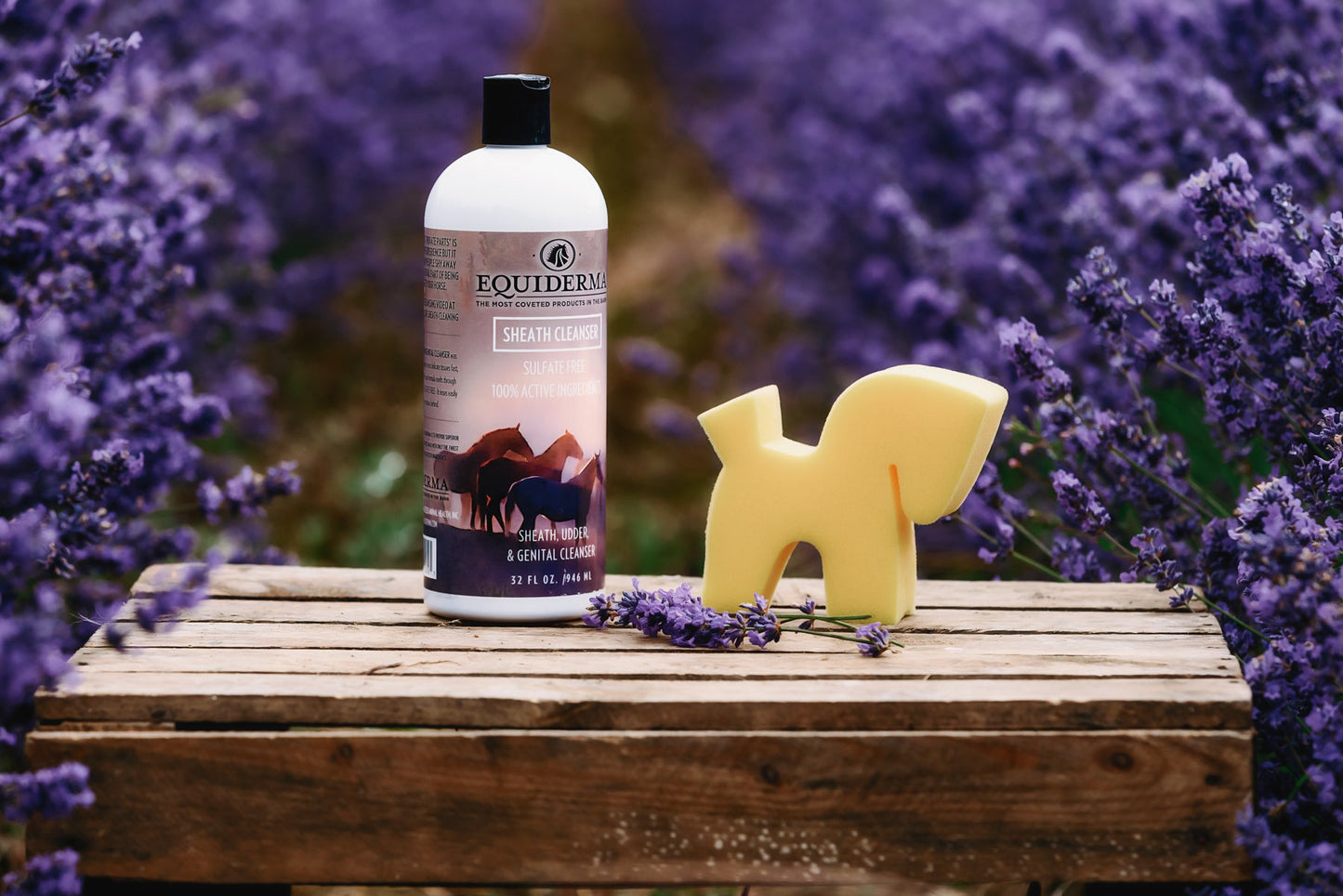 Sheath, Udder + Genital Cleanser