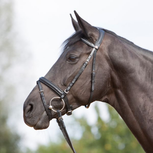 Ultrasoft Snaffle Bridle