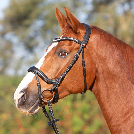 Ultrasoft Snaffle Bridle Amy