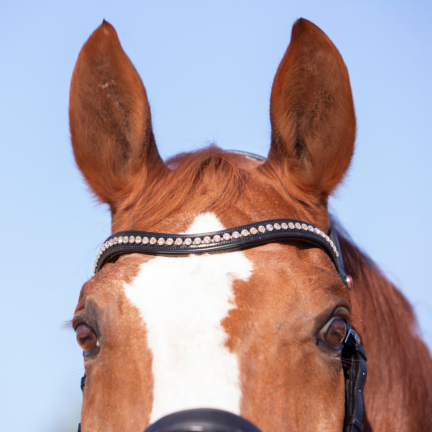 Ultrasoft Snaffle Bridle Amy
