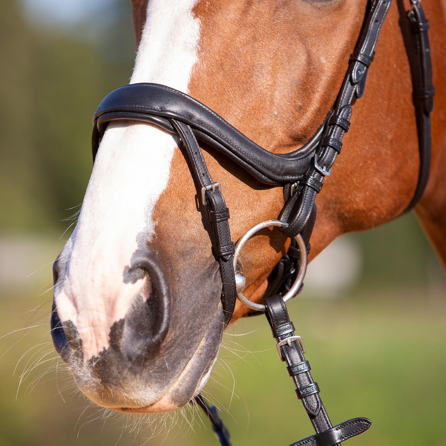 Ultrasoft Snaffle Bridle Amy