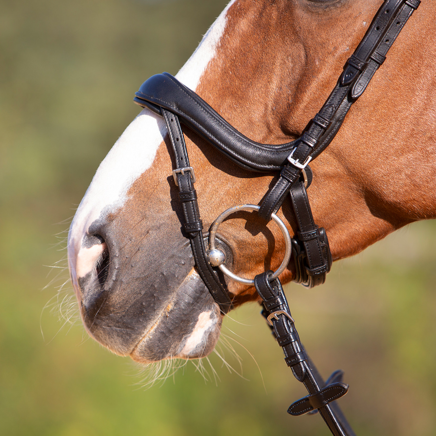 Ultrasoft Snaffle Bridle Amy