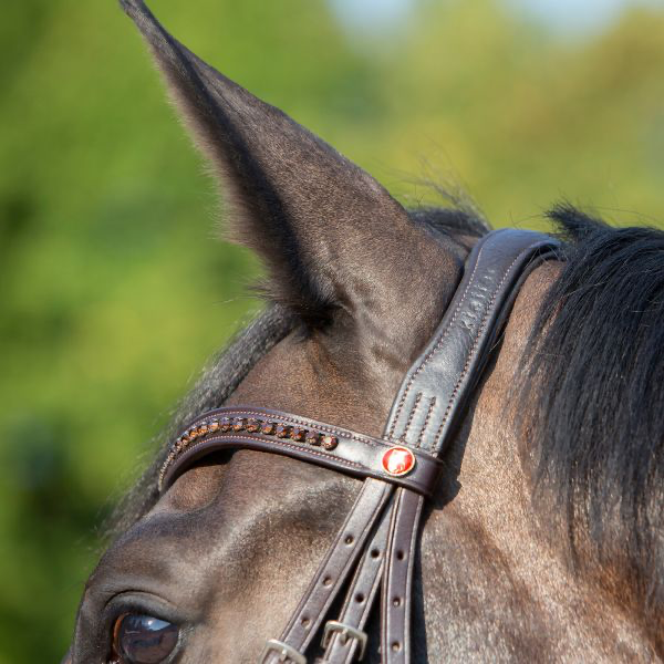Ultrasoft Brown Snaffle Bridle Celia