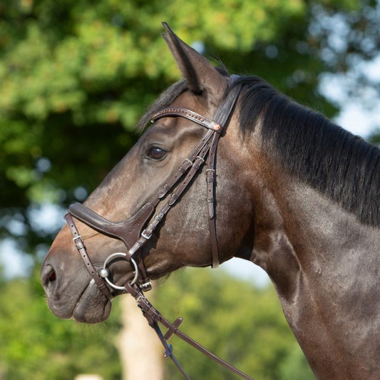 Ultrasoft Brown Snaffle Bridle Celia