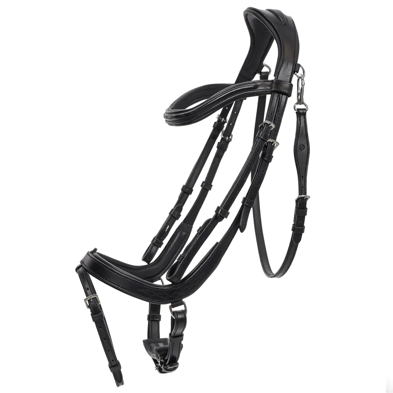 Salerno Anatomical Bridle