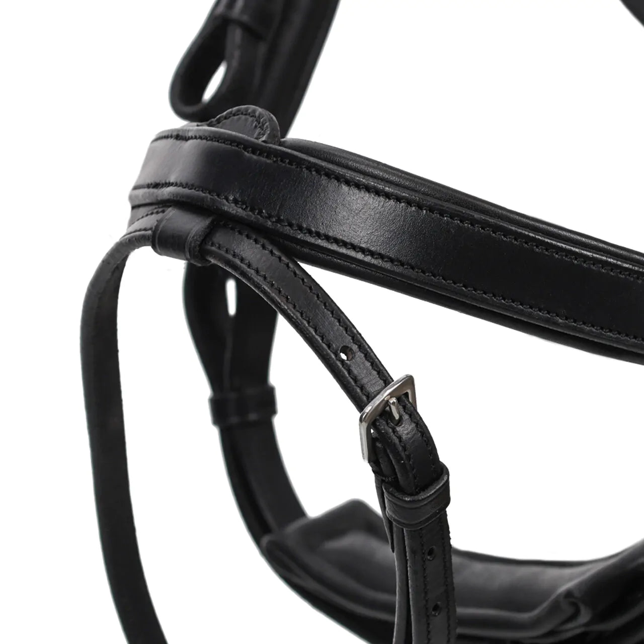 Salerno Anatomical Bridle