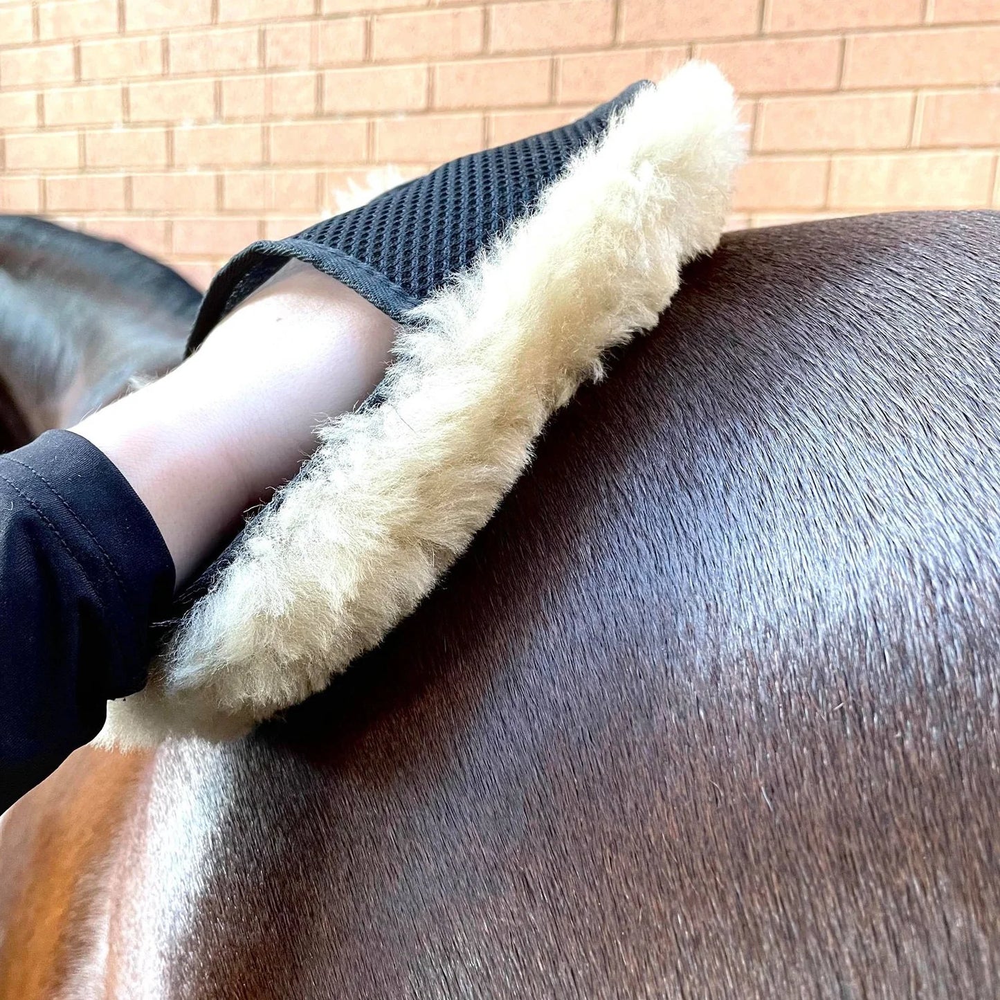 Hairy Pony Merino Wool Horse Polishing Mitt