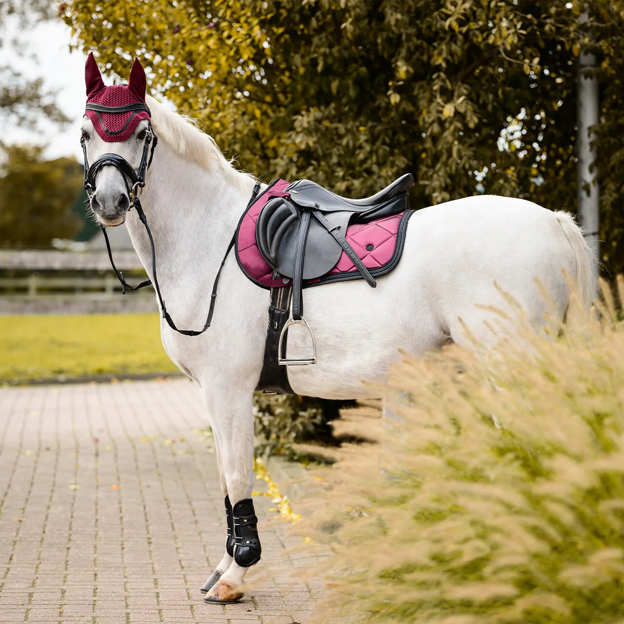 Zahra Saddle Pad - Dressage and Jump Cut
