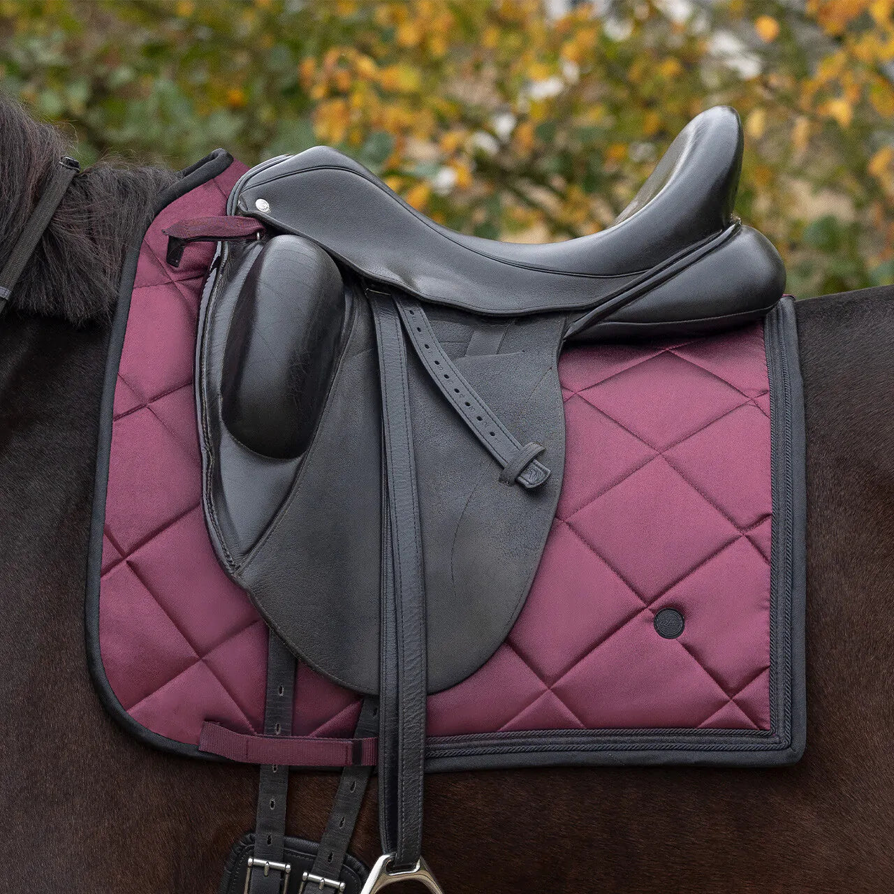 Zahra Saddle Pad - Dressage and Jump Cut