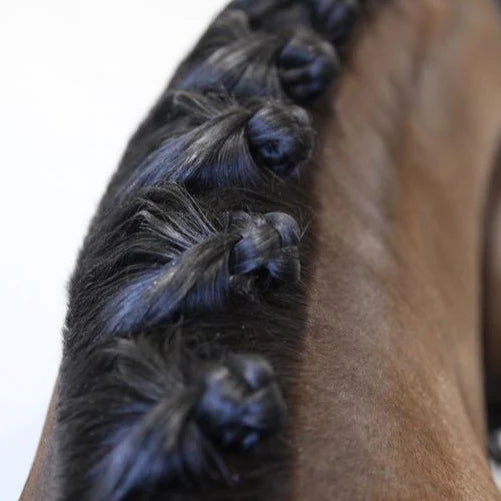Hairy Pony Mane Sectioning Comb