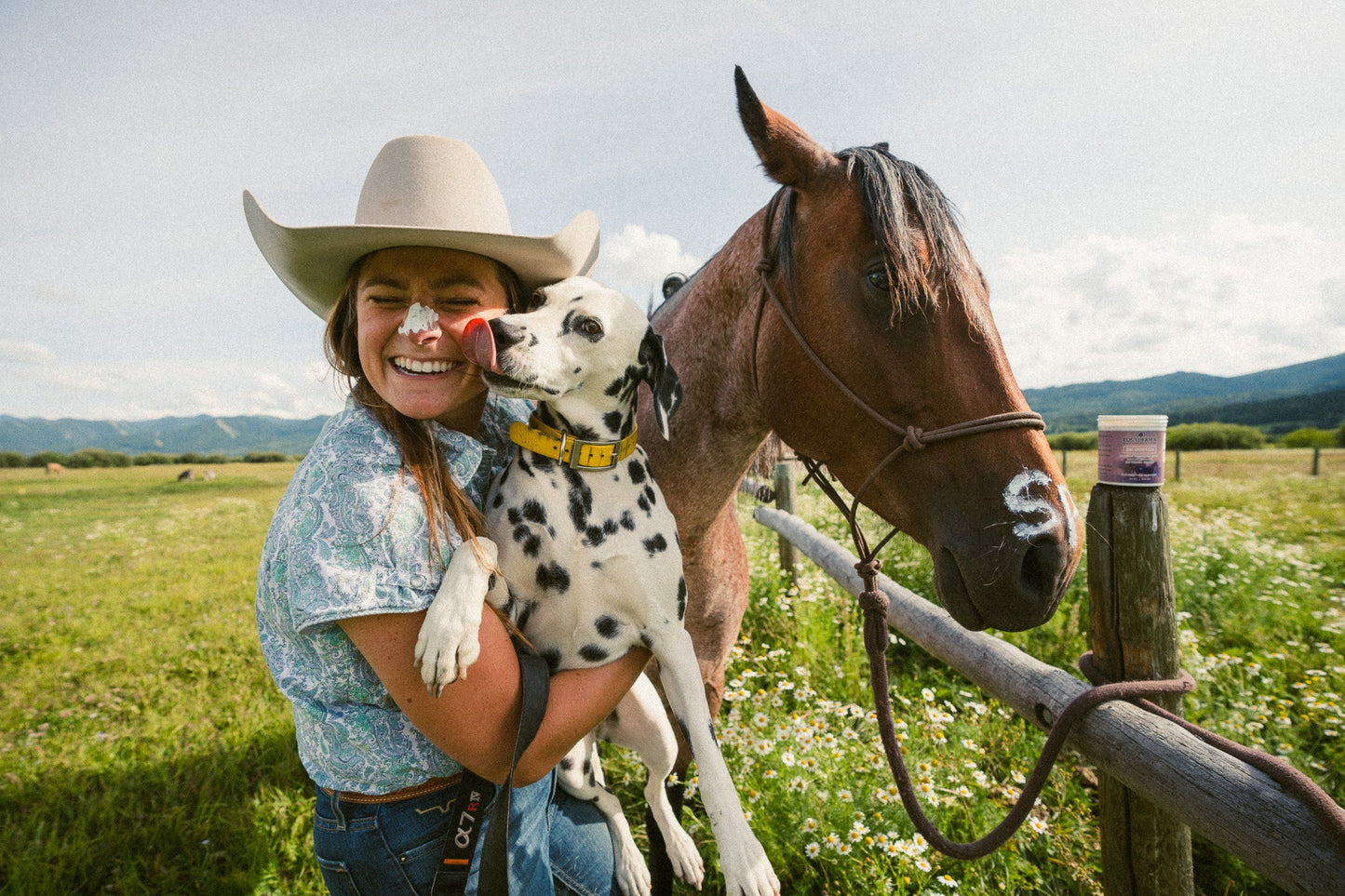 Zinc Paste for Scratches