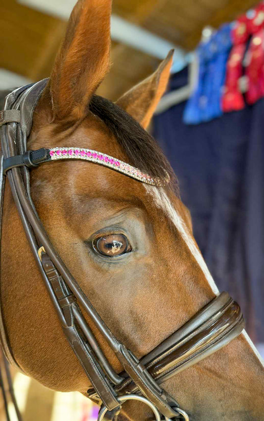 Sparkly pink browband