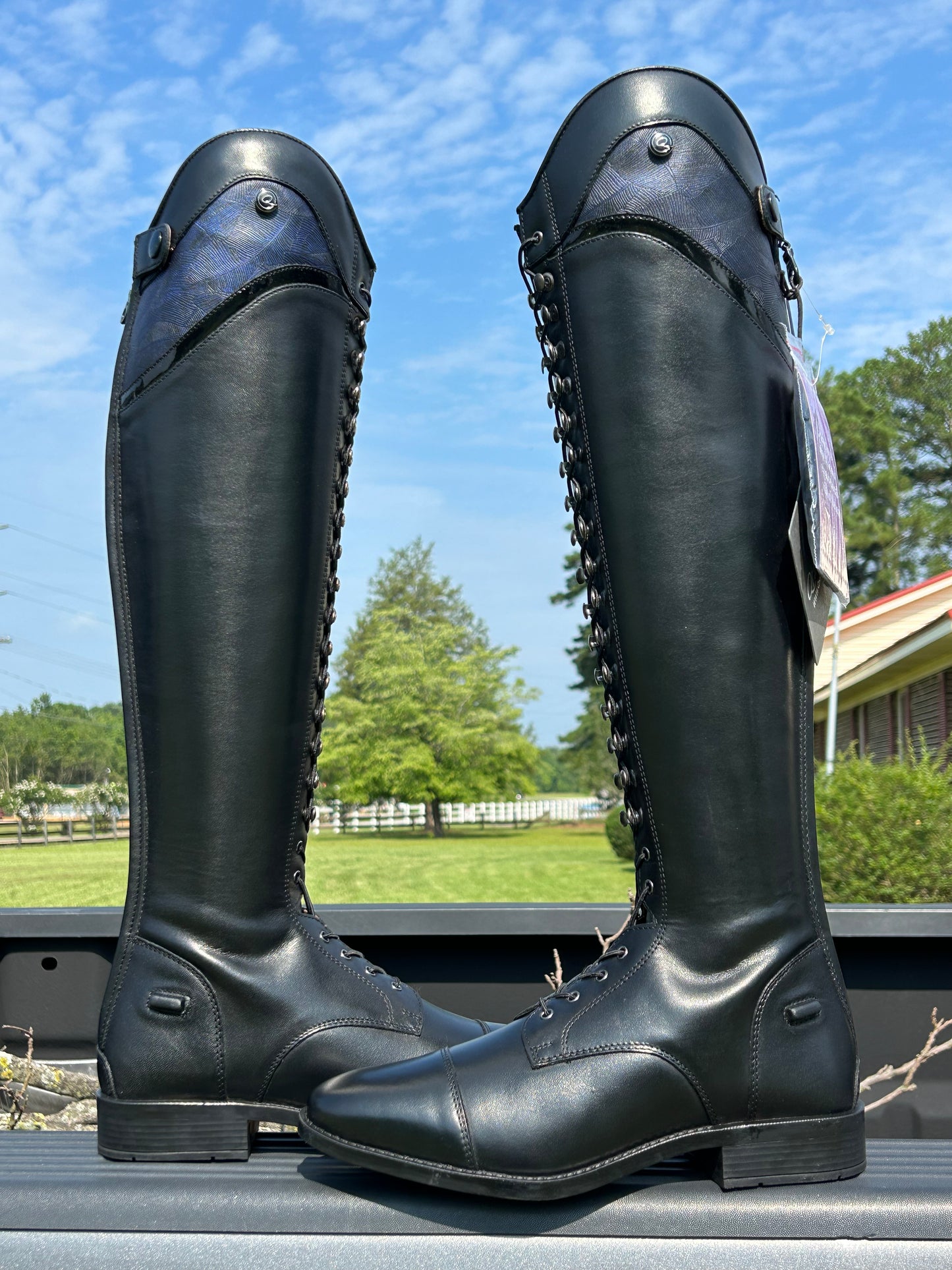 QHP Hailey Tall Boot - Limited Edition