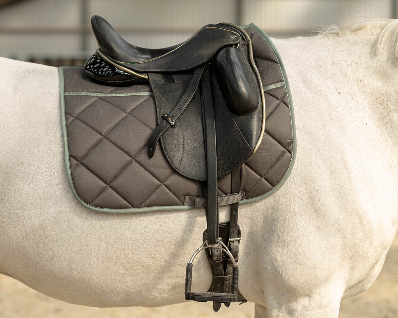 QHP Equestrian Dream Collection Saddle Pad - Iron Grey - Dressage and All Purpose