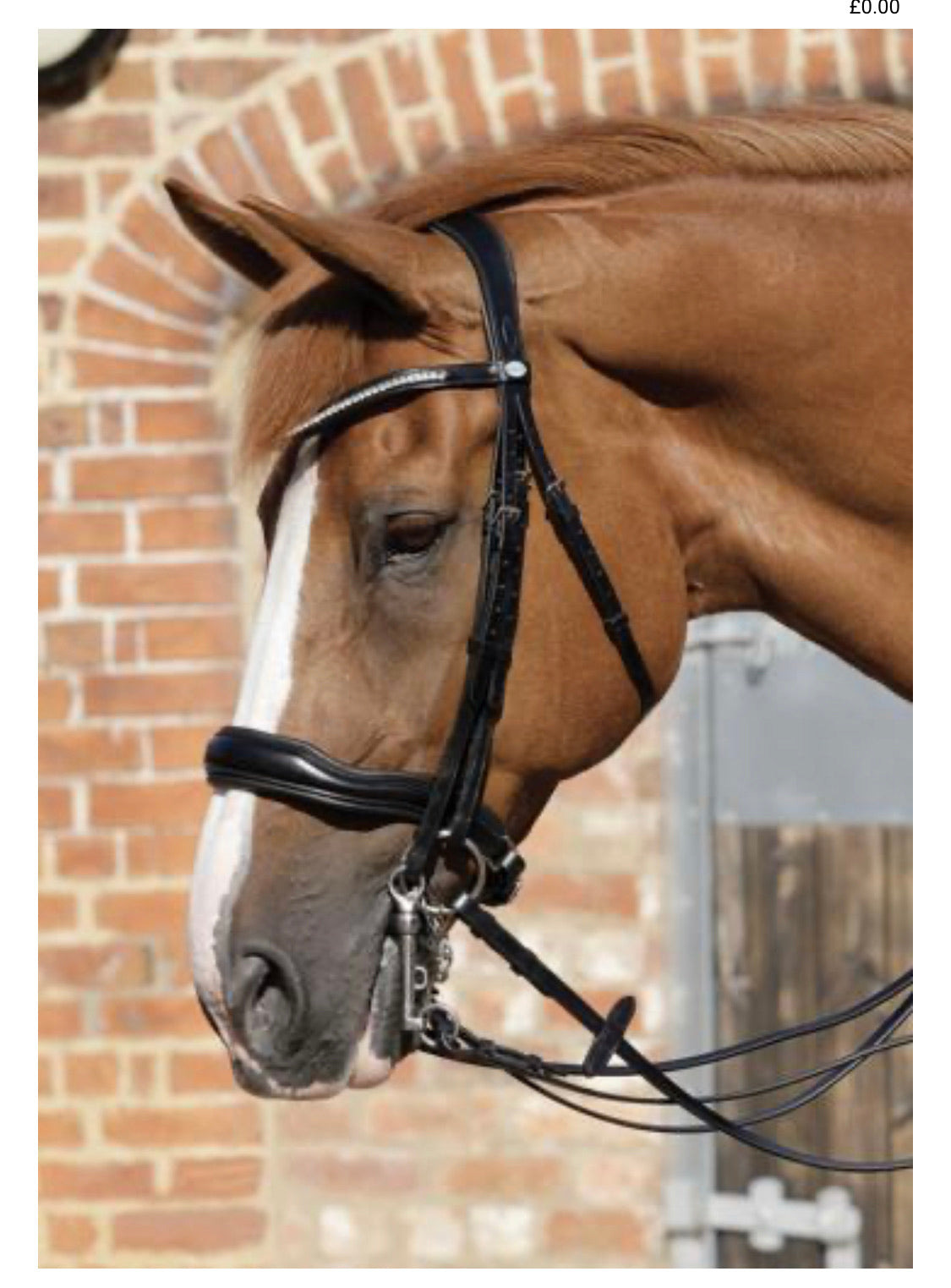 Premier Equine Abriano Double Bridle