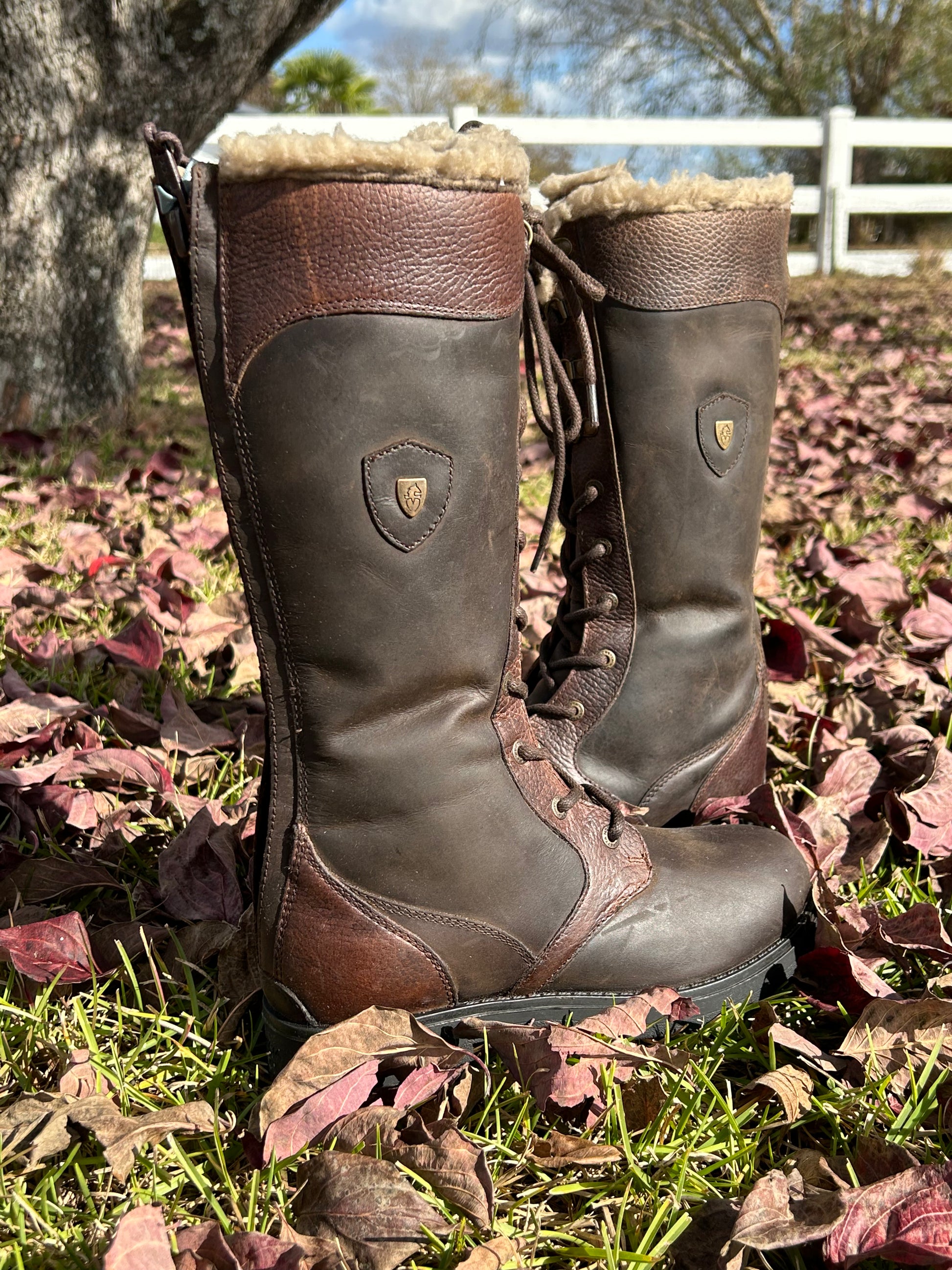 Moretta Jovanne Boot Royal Equine